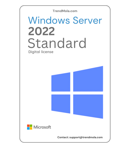 Windows Server 2022 Standard Lifetime activation
